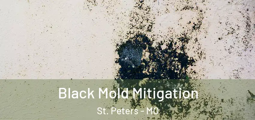Black Mold Mitigation St. Peters - MO
