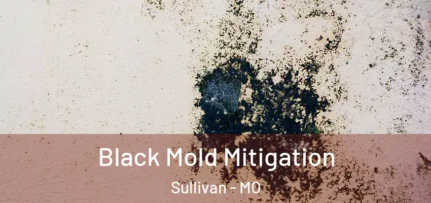 Black Mold Mitigation Sullivan - MO