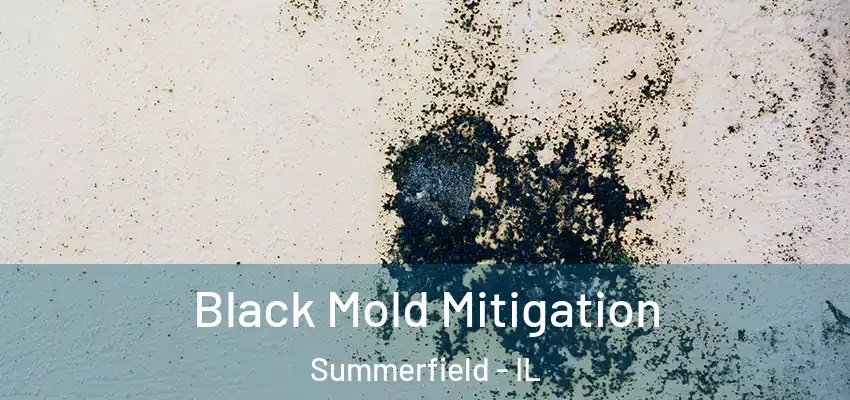  Black Mold Mitigation Summerfield - IL