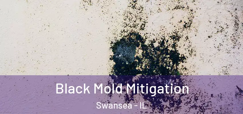  Black Mold Mitigation Swansea - IL