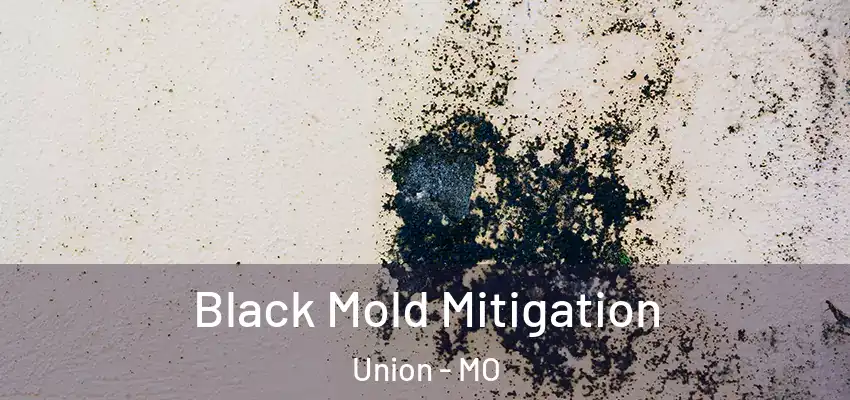 Black Mold Mitigation Union - MO