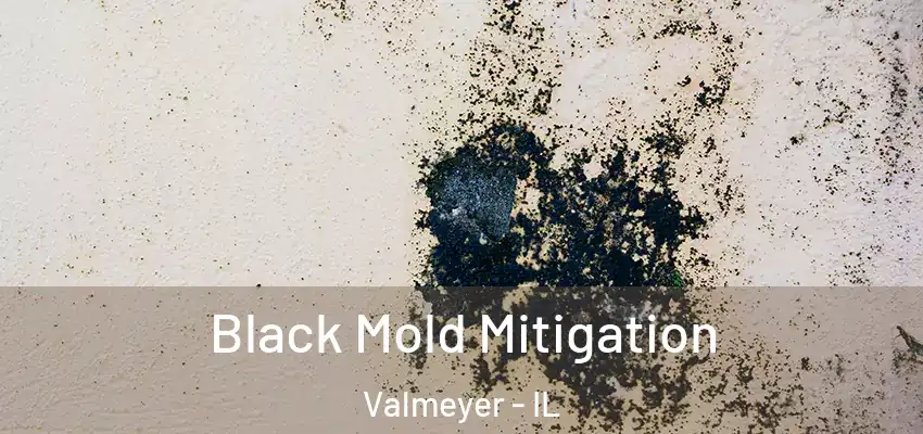 Black Mold Mitigation Valmeyer - IL