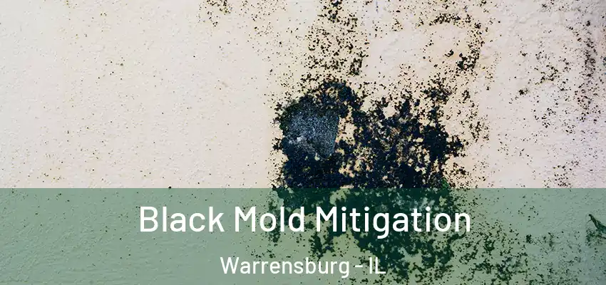 Black Mold Mitigation Warrensburg - IL