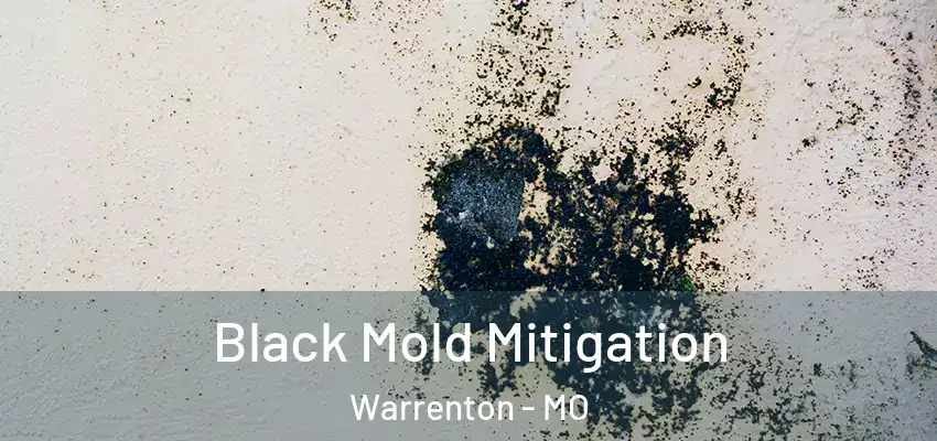 Black Mold Mitigation Warrenton - MO