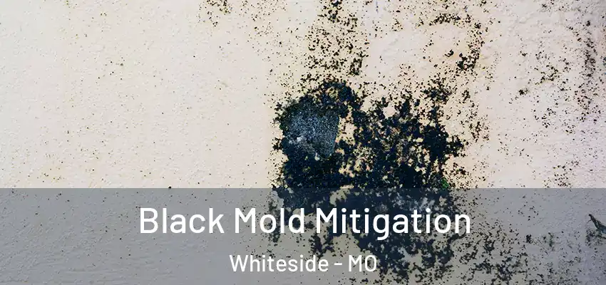  Black Mold Mitigation Whiteside - MO