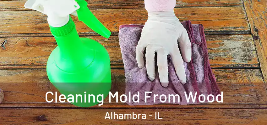 Cleaning Mold From Wood Alhambra - IL