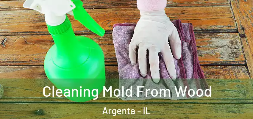  Cleaning Mold From Wood Argenta - IL