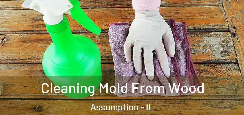 Cleaning Mold From Wood Assumption - IL