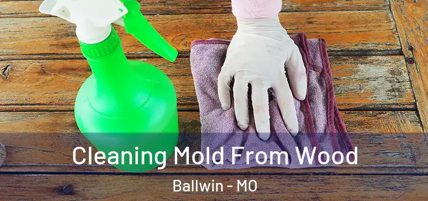  Cleaning Mold From Wood Ballwin - MO