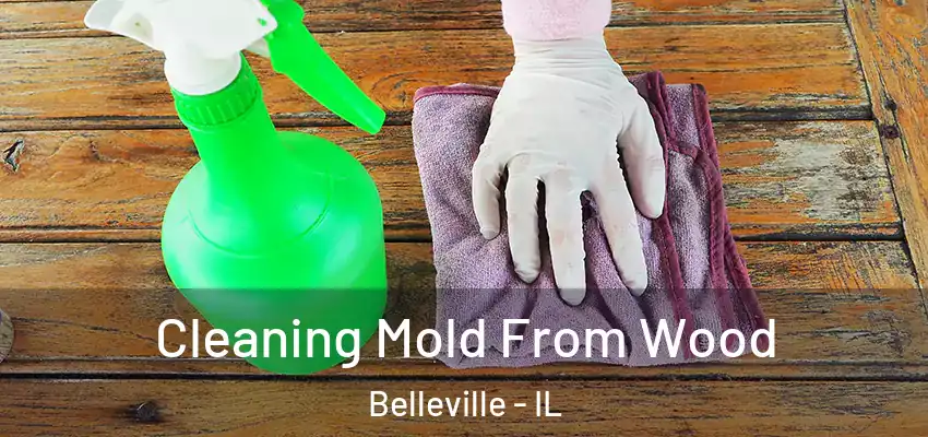Cleaning Mold From Wood Belleville - IL