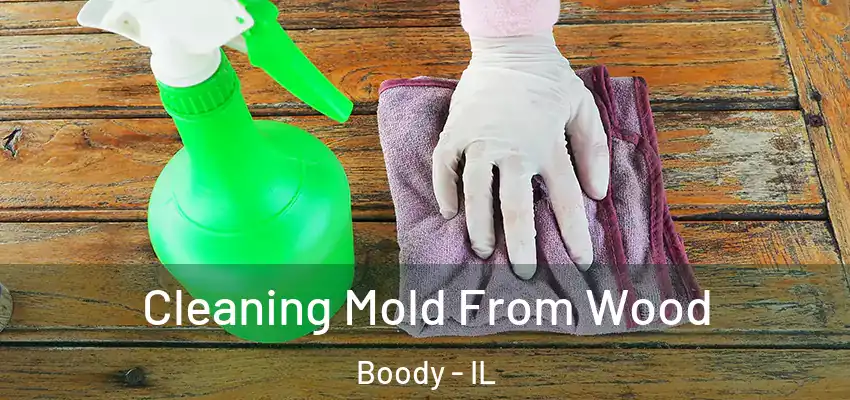 Cleaning Mold From Wood Boody - IL