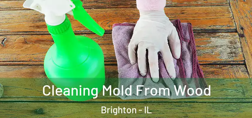 Cleaning Mold From Wood Brighton - IL