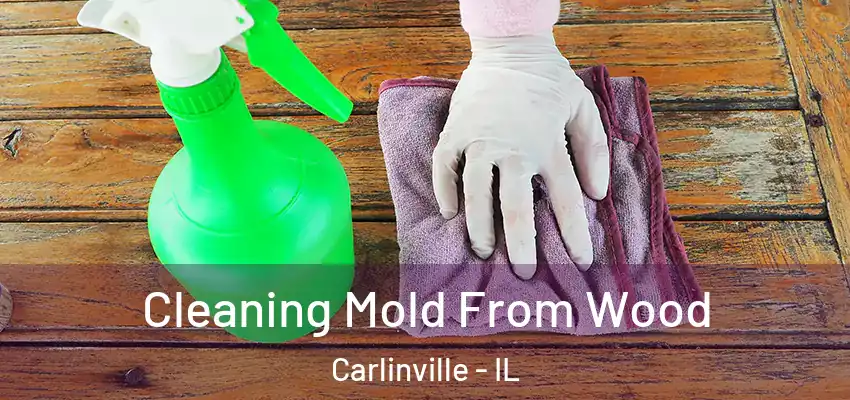  Cleaning Mold From Wood Carlinville - IL