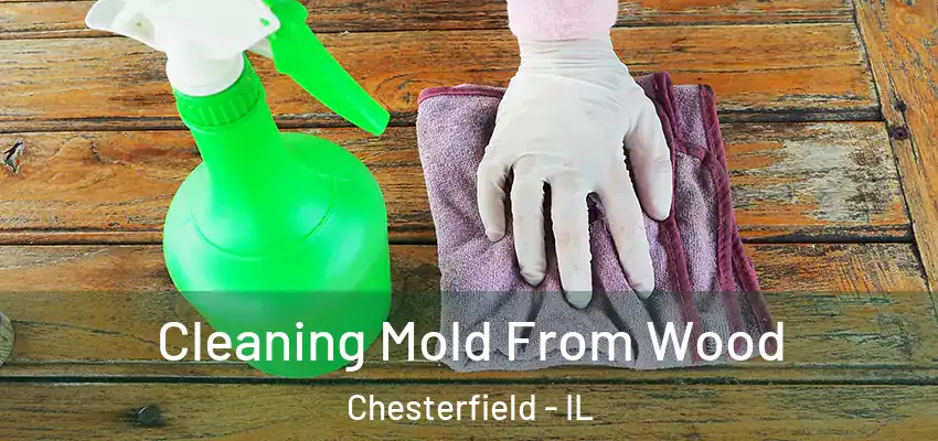  Cleaning Mold From Wood Chesterfield - IL