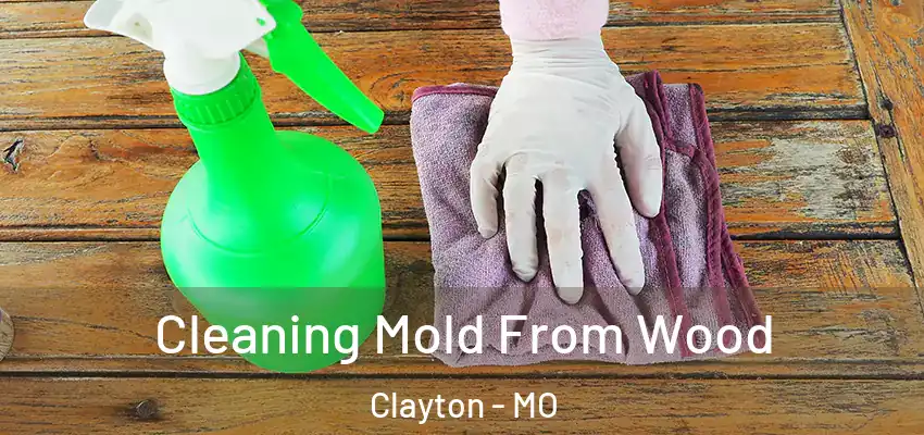 Cleaning Mold From Wood Clayton - MO
