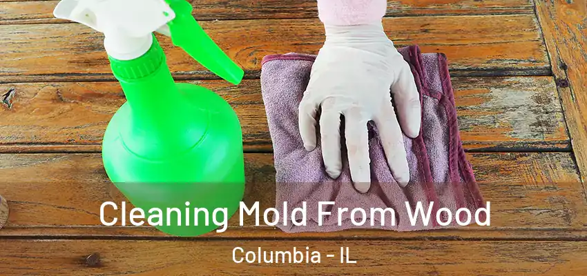 Cleaning Mold From Wood Columbia - IL