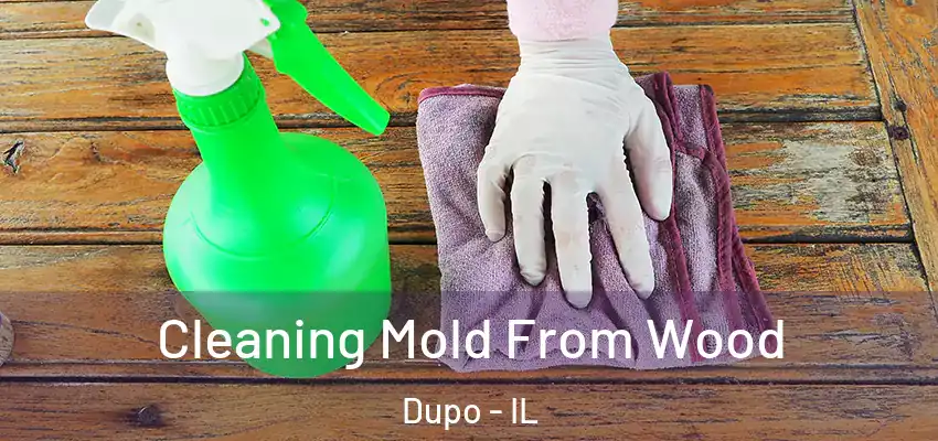  Cleaning Mold From Wood Dupo - IL