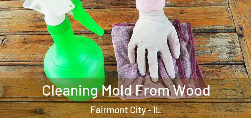 Cleaning Mold From Wood Fairmont City - IL