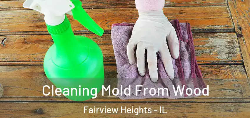  Cleaning Mold From Wood Fairview Heights - IL