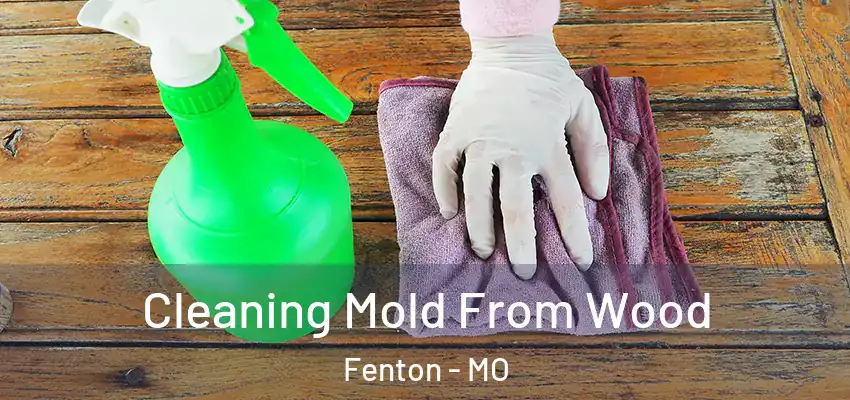  Cleaning Mold From Wood Fenton - MO