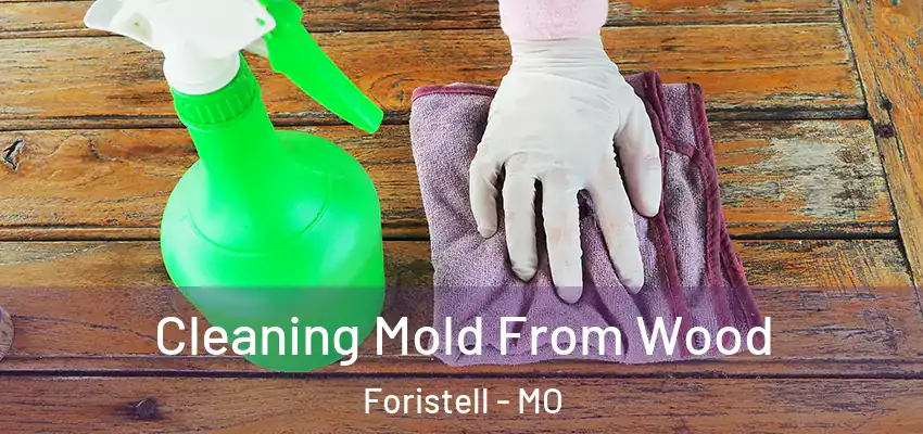  Cleaning Mold From Wood Foristell - MO