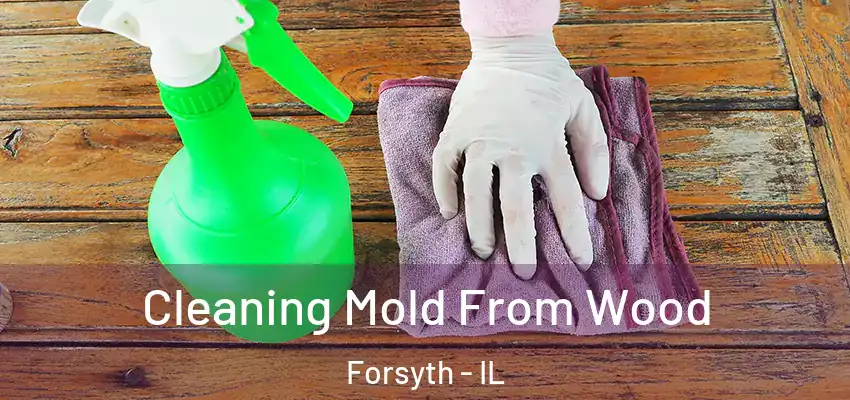  Cleaning Mold From Wood Forsyth - IL