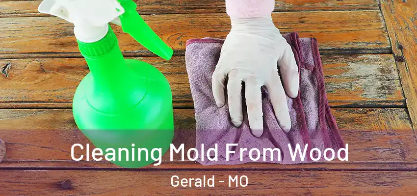 Cleaning Mold From Wood Gerald - MO