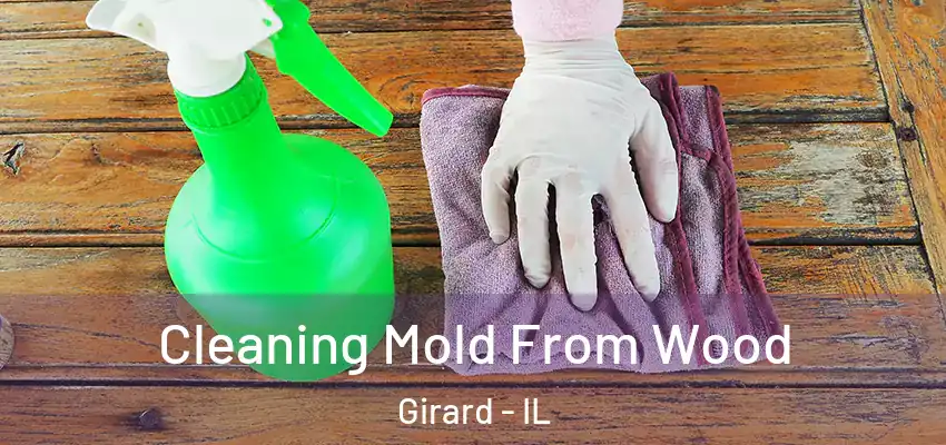  Cleaning Mold From Wood Girard - IL