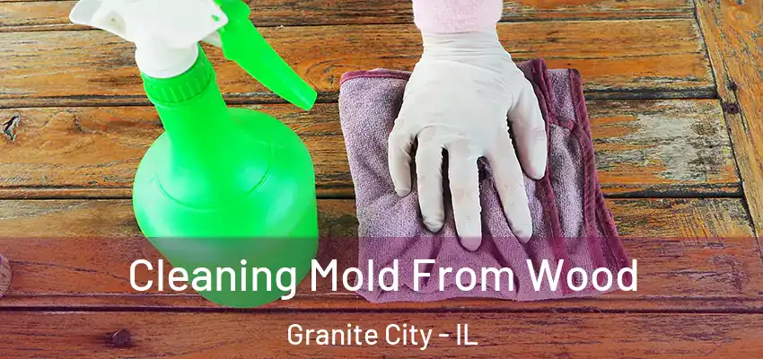 Cleaning Mold From Wood Granite City - IL