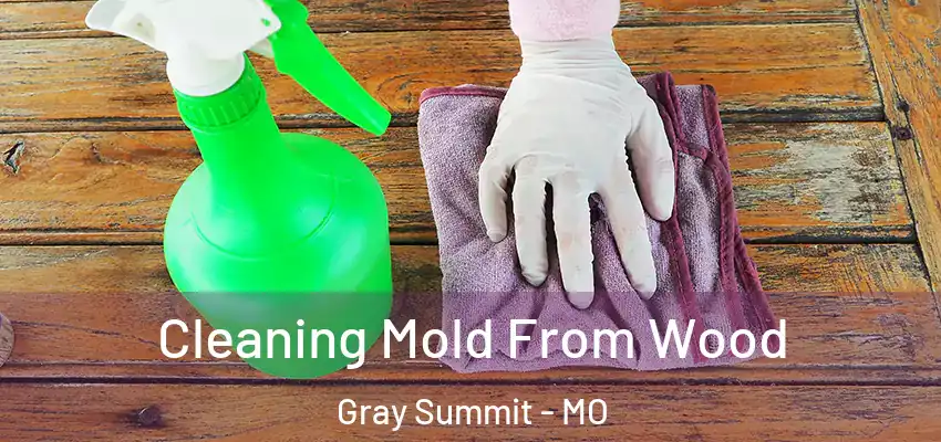  Cleaning Mold From Wood Gray Summit - MO