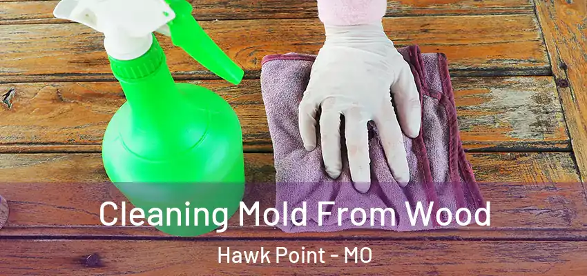  Cleaning Mold From Wood Hawk Point - MO
