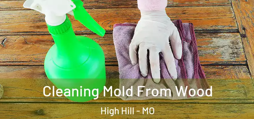  Cleaning Mold From Wood High Hill - MO