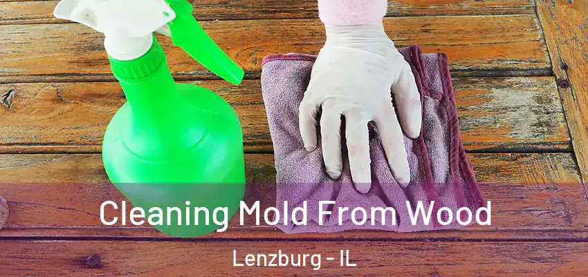  Cleaning Mold From Wood Lenzburg - IL