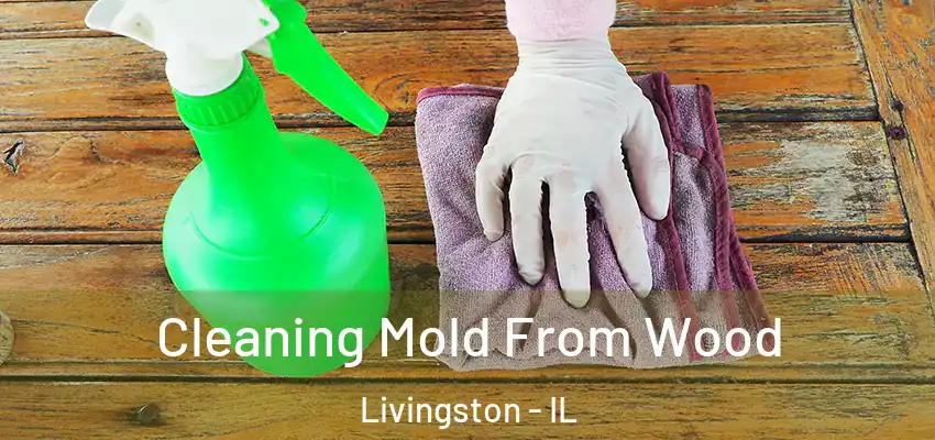  Cleaning Mold From Wood Livingston - IL