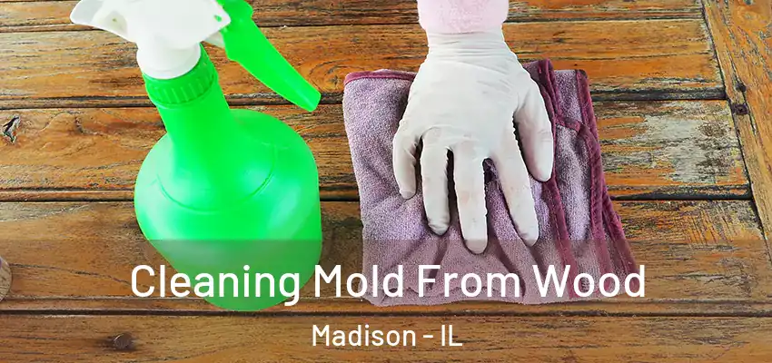 Cleaning Mold From Wood Madison - IL
