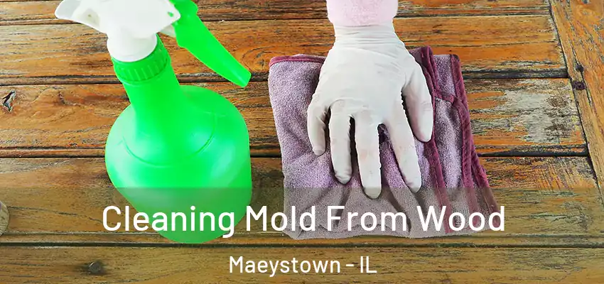 Cleaning Mold From Wood Maeystown - IL