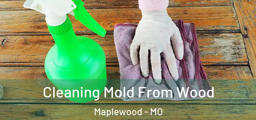  Cleaning Mold From Wood Maplewood - MO