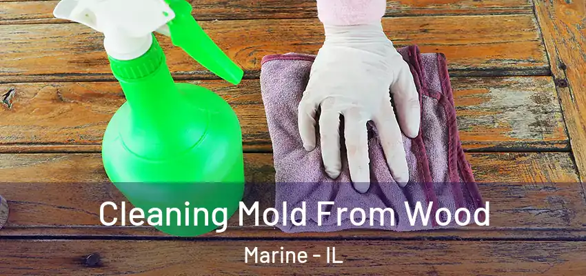  Cleaning Mold From Wood Marine - IL