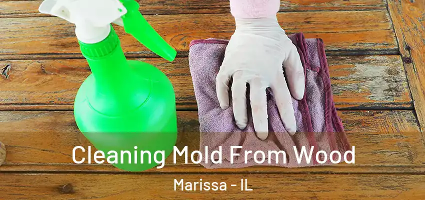  Cleaning Mold From Wood Marissa - IL