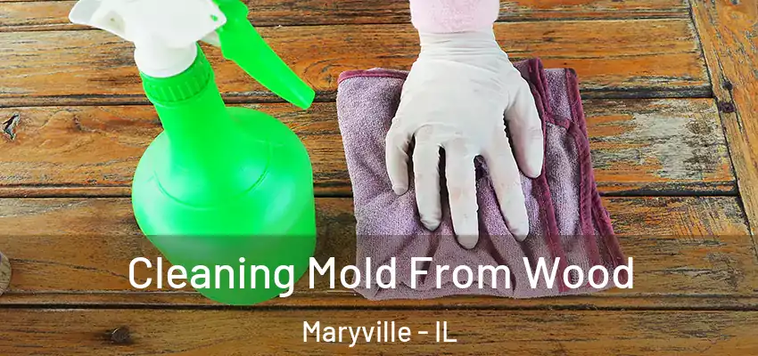  Cleaning Mold From Wood Maryville - IL