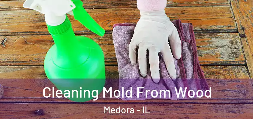  Cleaning Mold From Wood Medora - IL
