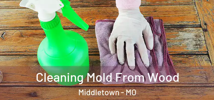 Cleaning Mold From Wood Middletown - MO