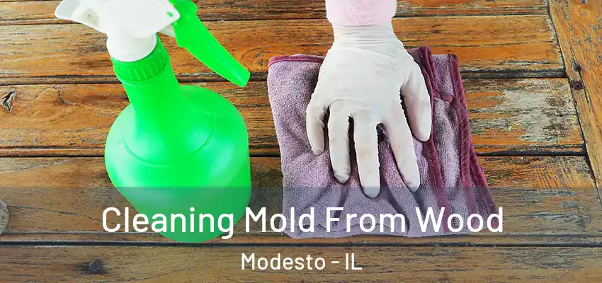  Cleaning Mold From Wood Modesto - IL