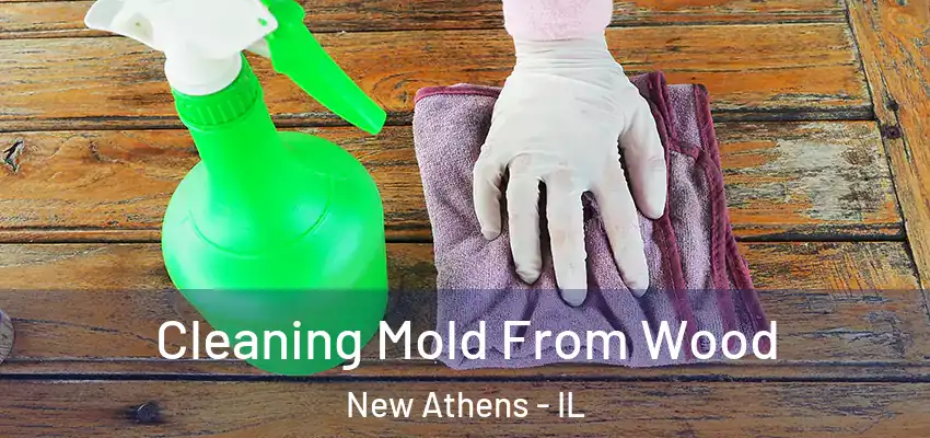 Cleaning Mold From Wood New Athens - IL