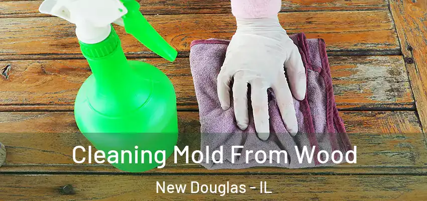  Cleaning Mold From Wood New Douglas - IL