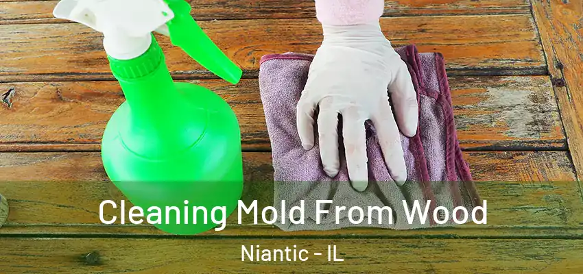  Cleaning Mold From Wood Niantic - IL