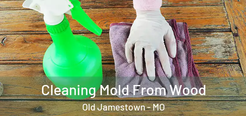  Cleaning Mold From Wood Old Jamestown - MO