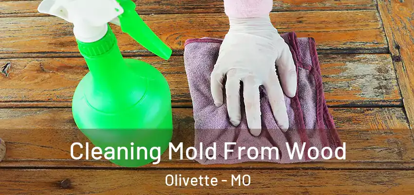  Cleaning Mold From Wood Olivette - MO