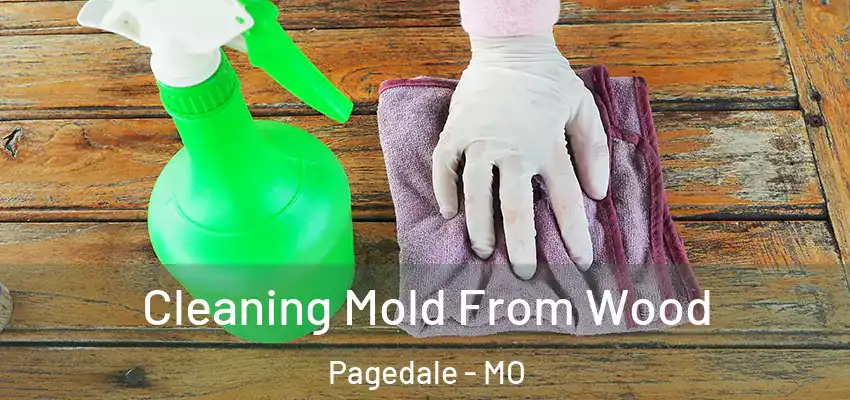  Cleaning Mold From Wood Pagedale - MO