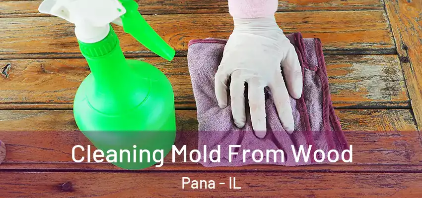  Cleaning Mold From Wood Pana - IL